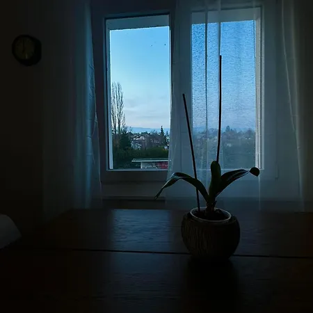 Sejour Calme Pres Du Leman Lejlighed