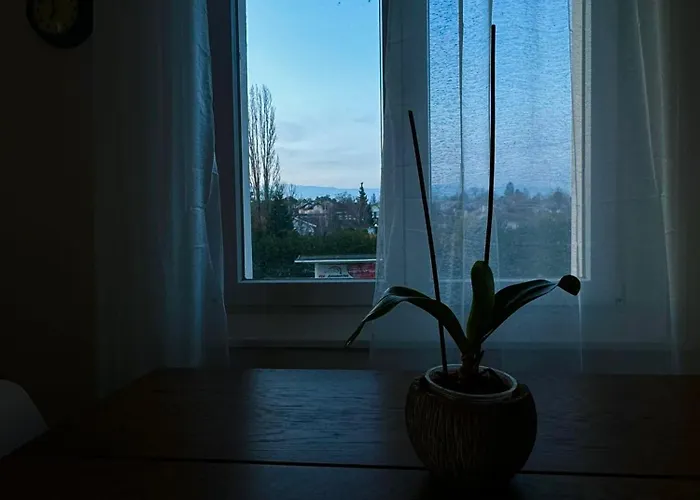 Sejour Calme Pres Du Leman Apartamento